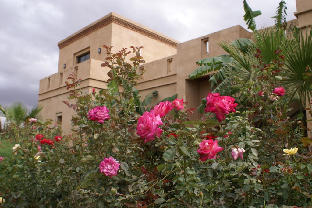 La Kasbah Aalma D'Or Hotel Najem Ngoại thất bức ảnh